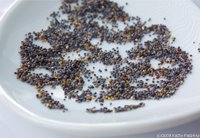 poppyseeds