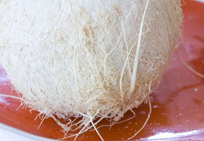 white_coconut