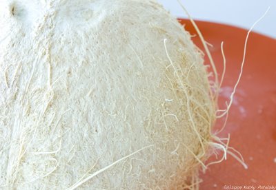 white_coconut