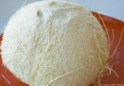white_coconut