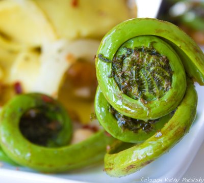 fiddlehead_ferns