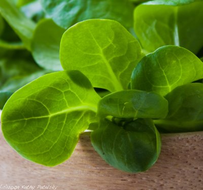 mache_lettuce