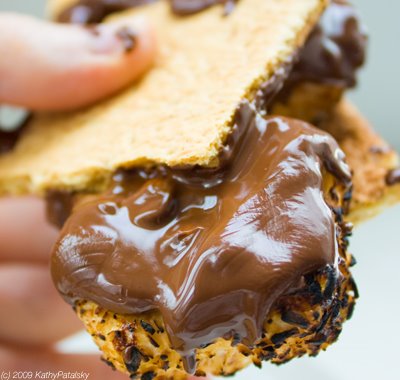 endangered_species_chocolate