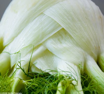 fennel_bulb-big