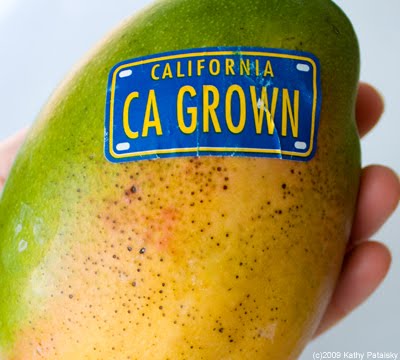 organic-mango