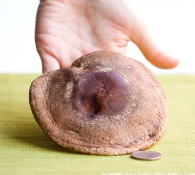 big-giant-huge-shiitake-mushroom