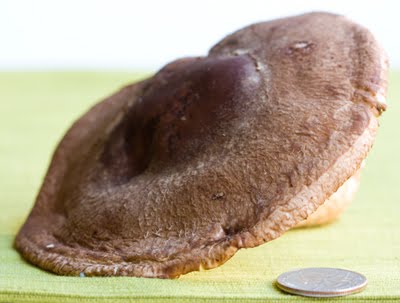 big-mushroom