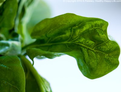 spinach-leaf