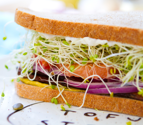 sprout-lovers-sandwich-34.jpg