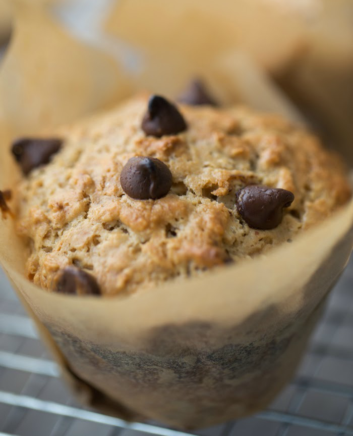 Chocolate Chip Muffins
