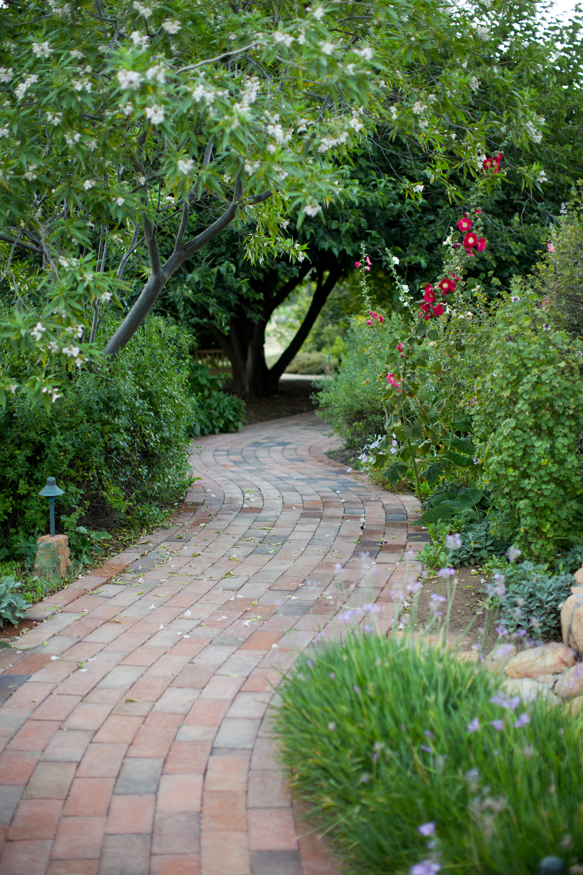 rancho la puerta