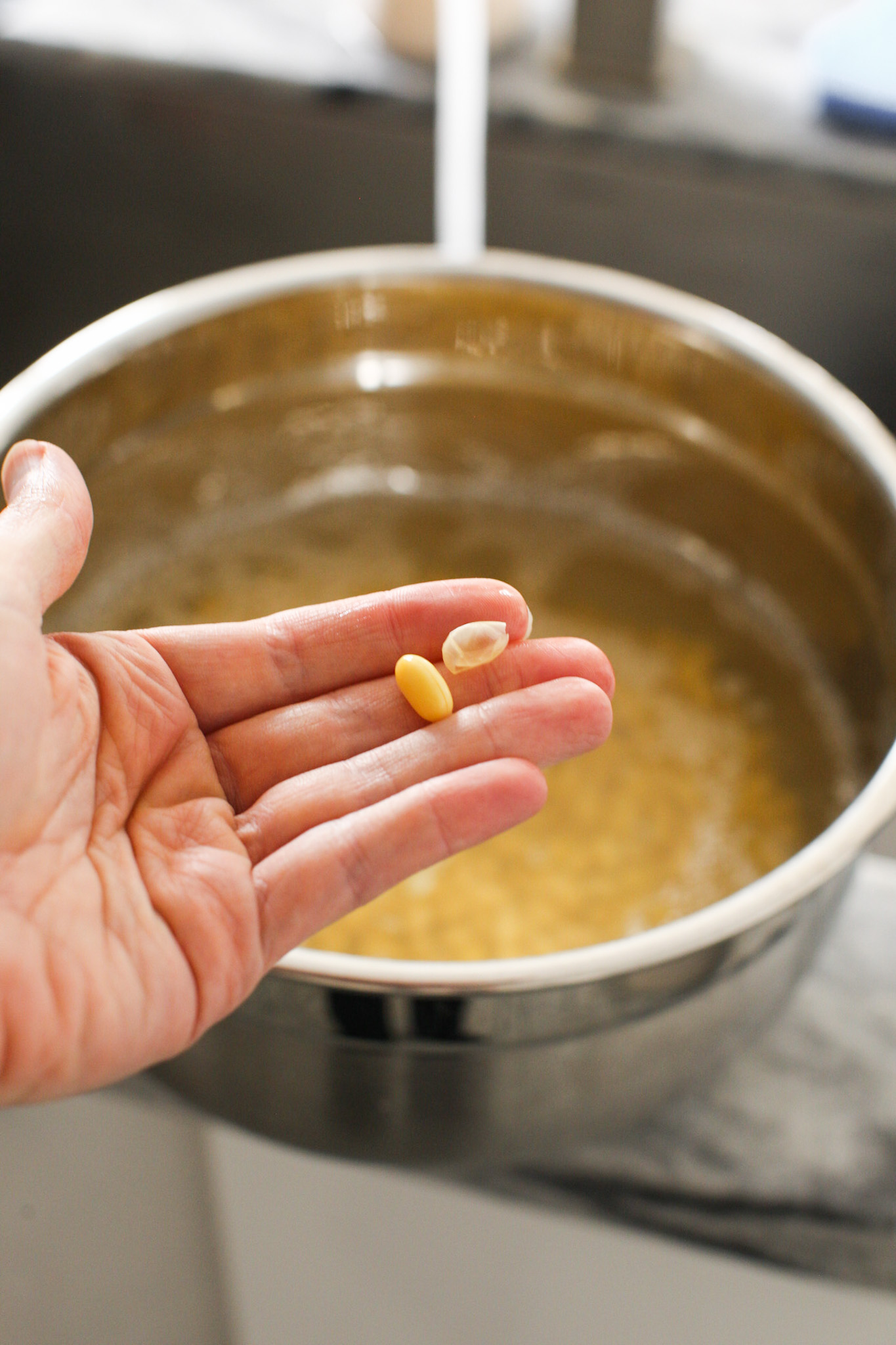soy bean skin