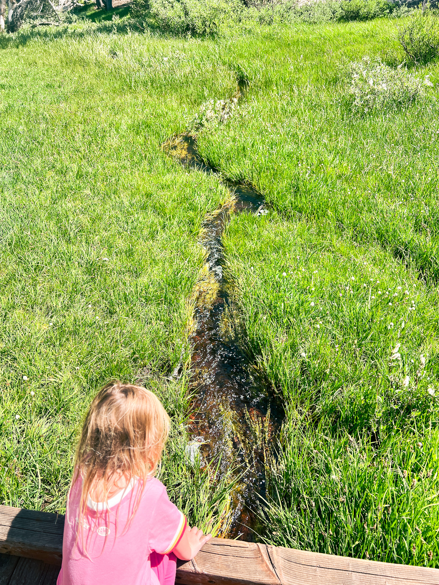 lake tahoe hiking with toddler