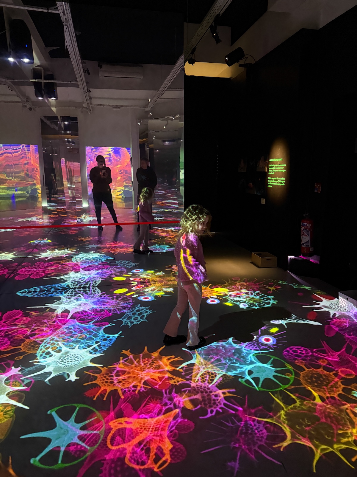 bebe musée paris