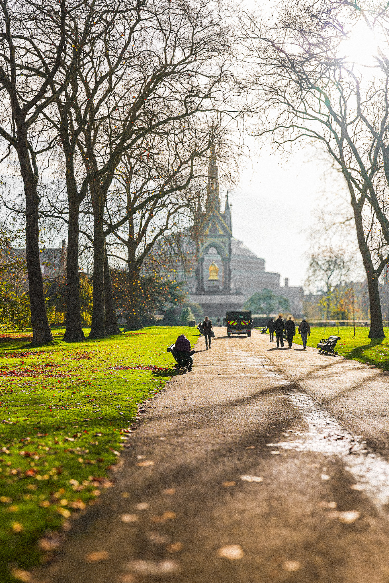 Hyde Park sunlight